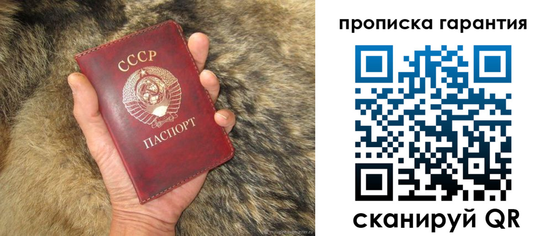 временная регистрация гарантия в Бородино
